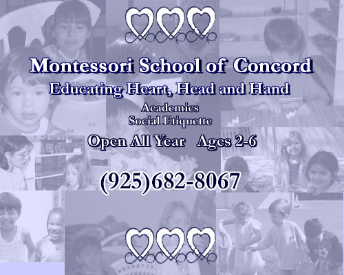 Montessori School Of Concord